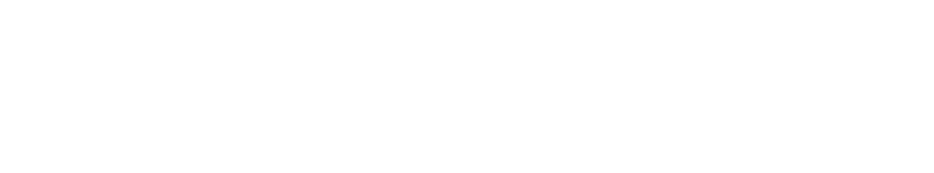 Beyond Human